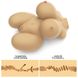 Masturbator Lovetoy Streetgirl&apos;s #6, 32,5 cm (w kolorze cielistym) 22254 zdjęcie 7