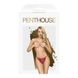 Трусики Penthouse Lingerie Too Hot To Be Real, M/L (бордовый) 14262 фото 3