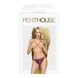 Трусики Penthouse Lingerie Too Hot To Be Real, L/XL (фиолетовый) 14272 фото 3