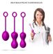 Набор вагинальных шариков Foxshow Kegel Balls Set, 3 шт (фиолетовый) 11232 фото 6