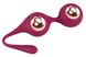 Kulki gejszy Sweet Smile Kegel Training Balls With Extra Weights, 18,3 cm (bordowe) 23249 zdjęcie 1